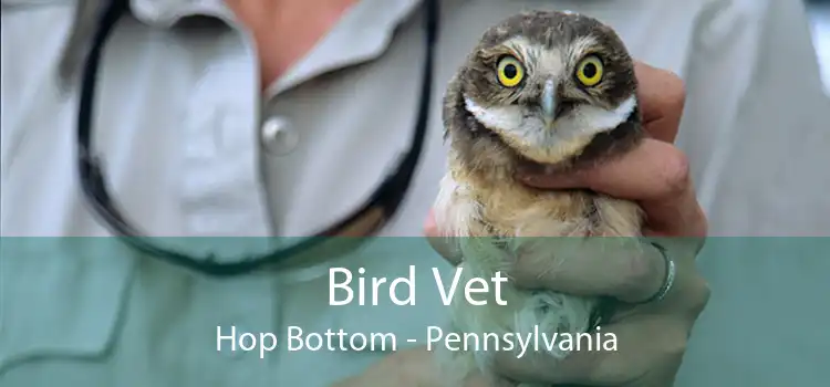 Bird Vet Hop Bottom - Pennsylvania