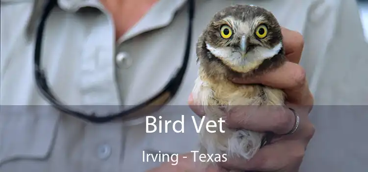 Bird Vet Irving - Texas