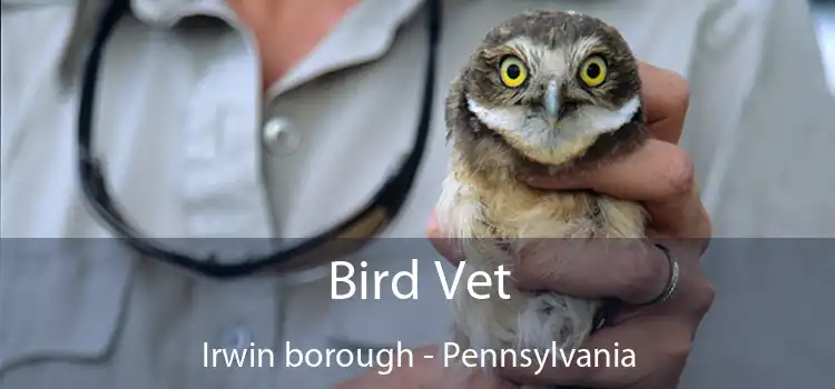 Bird Vet Irwin borough - Pennsylvania