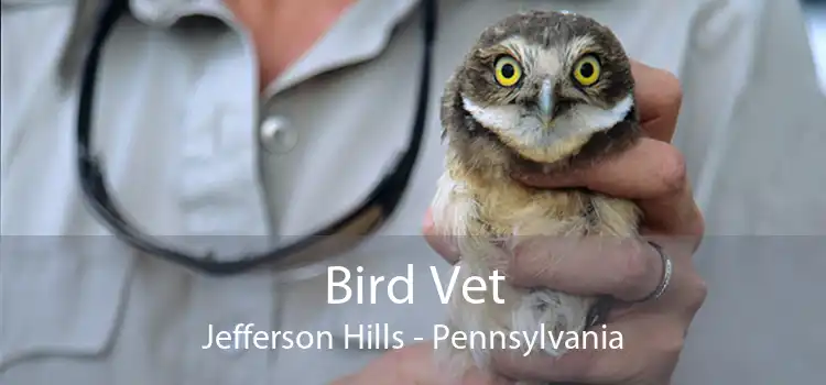 Bird Vet Jefferson Hills - Pennsylvania