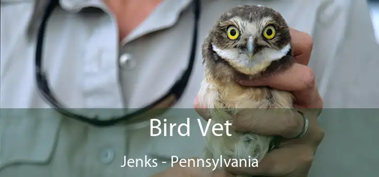 Bird Vet Jenks - Pennsylvania