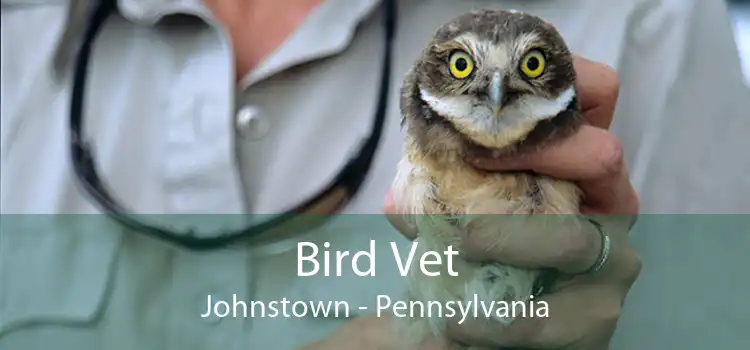 Bird Vet Johnstown - Pennsylvania