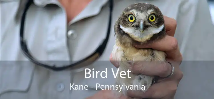 Bird Vet Kane - Pennsylvania