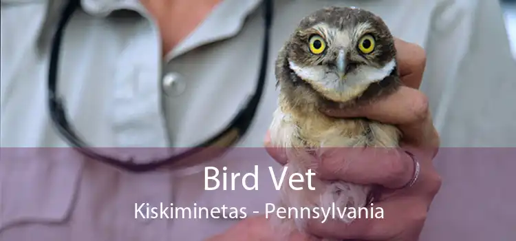 Bird Vet Kiskiminetas - Pennsylvania