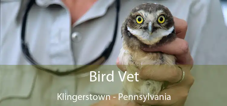 Bird Vet Klingerstown - Pennsylvania