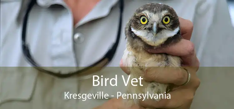 Bird Vet Kresgeville - Pennsylvania