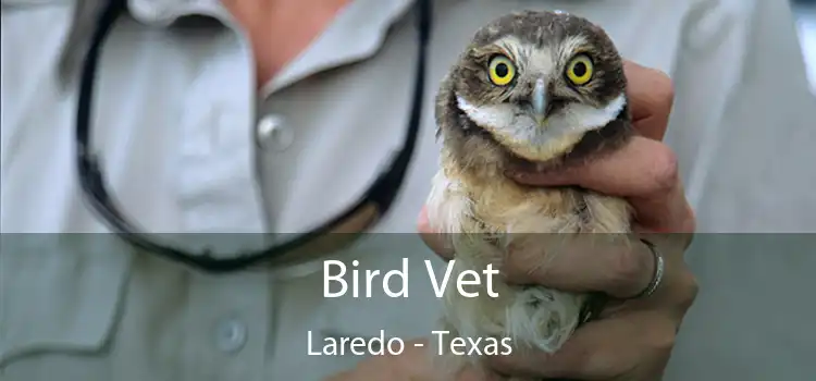 Bird Vet Laredo - Texas