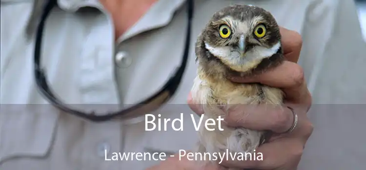 Bird Vet Lawrence - Pennsylvania