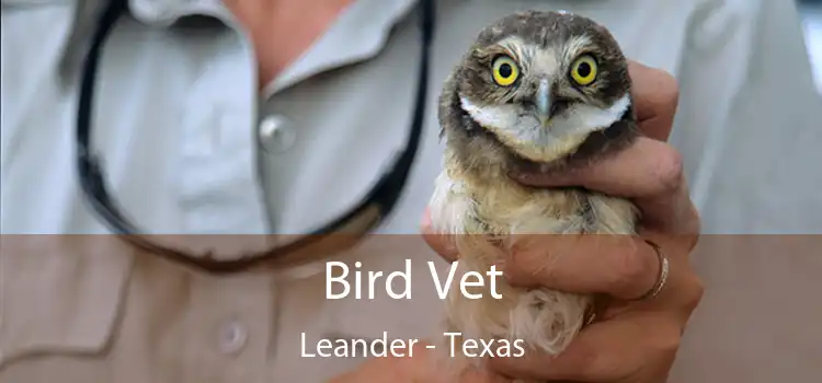 Bird Vet Leander - Texas