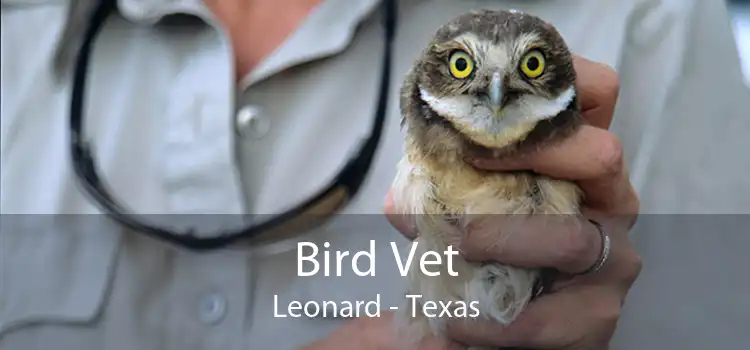 Bird Vet Leonard - Texas