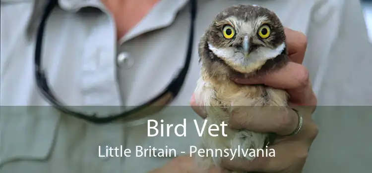 Bird Vet Little Britain - Pennsylvania