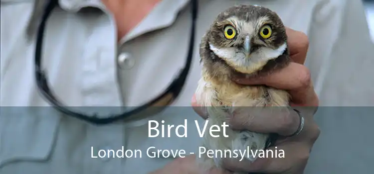 Bird Vet London Grove - Pennsylvania