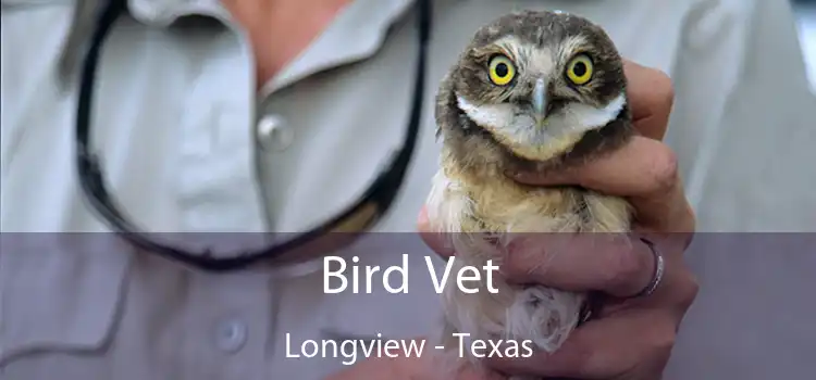 Bird Vet Longview - Texas