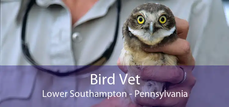 Bird Vet Lower Southampton - Pennsylvania