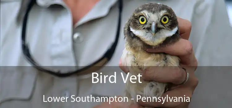 Bird Vet Lower Southampton - Pennsylvania
