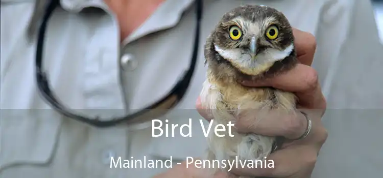 Bird Vet Mainland - Pennsylvania