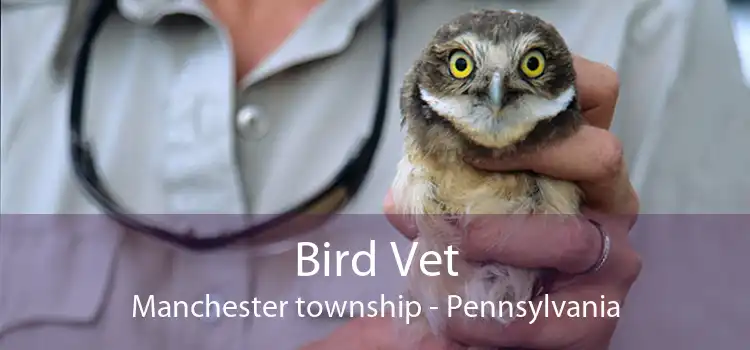 Bird Vet Manchester township - Pennsylvania