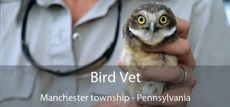 Bird Vet Manchester township - Pennsylvania