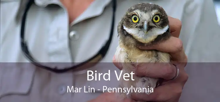 Bird Vet Mar Lin - Pennsylvania