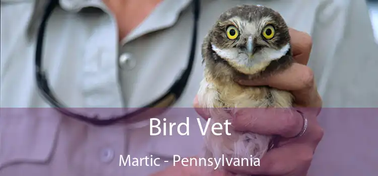 Bird Vet Martic - Pennsylvania