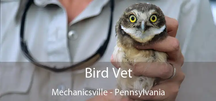 Bird Vet Mechanicsville - Pennsylvania