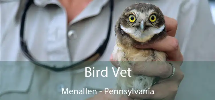 Bird Vet Menallen - Pennsylvania