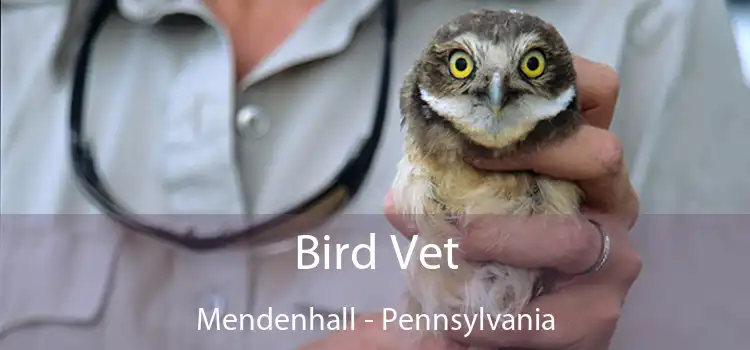 Bird Vet Mendenhall - Pennsylvania