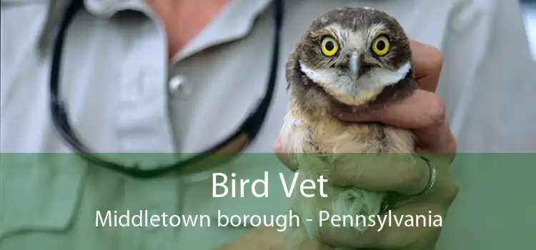 Bird Vet Middletown borough - Pennsylvania