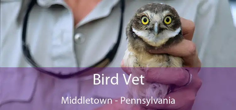 Bird Vet Middletown - Pennsylvania