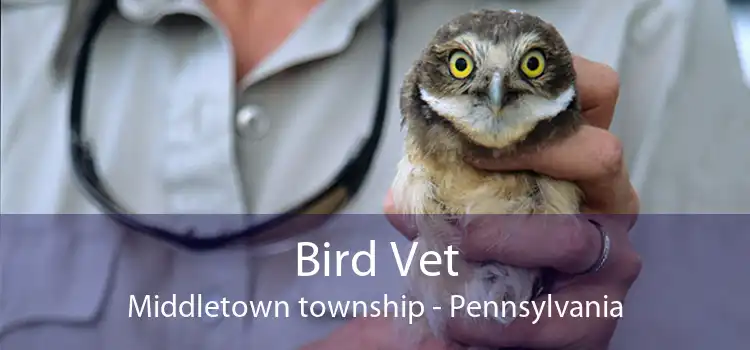 Bird Vet Middletown township - Pennsylvania