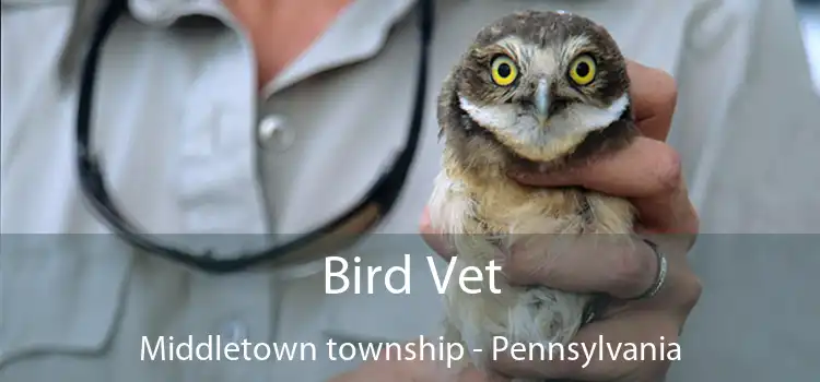 Bird Vet Middletown township - Pennsylvania