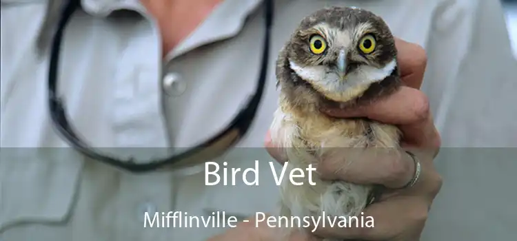 Bird Vet Mifflinville - Pennsylvania