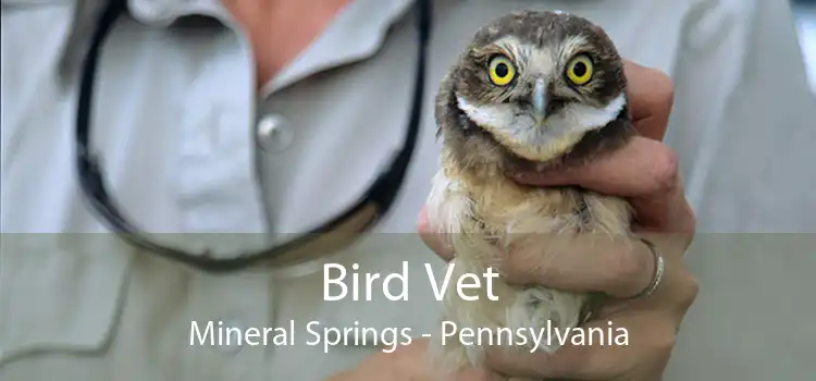 Bird Vet Mineral Springs - Pennsylvania