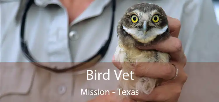 Bird Vet Mission - Texas