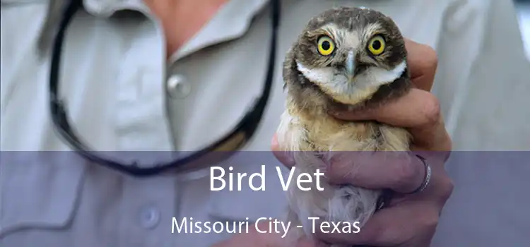 Bird Vet Missouri City - Texas