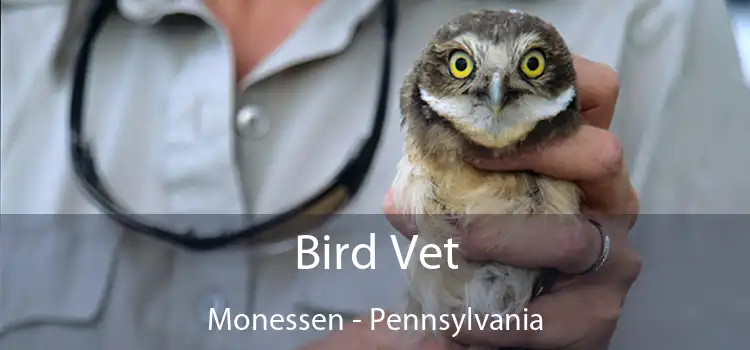 Bird Vet Monessen - Pennsylvania