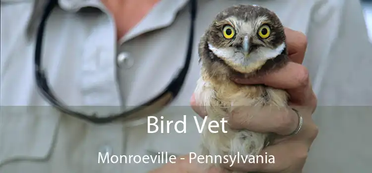 Bird Vet Monroeville - Pennsylvania