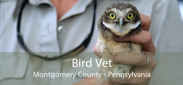 Bird Vet Montgomery County - Pennsylvania
