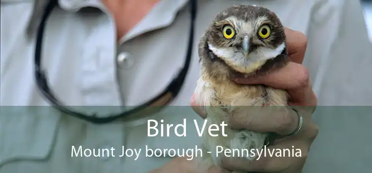 Bird Vet Mount Joy borough - Pennsylvania