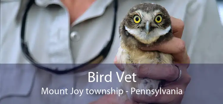 Bird Vet Mount Joy township - Pennsylvania