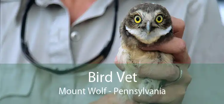 Bird Vet Mount Wolf - Pennsylvania
