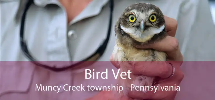 Bird Vet Muncy Creek township - Pennsylvania