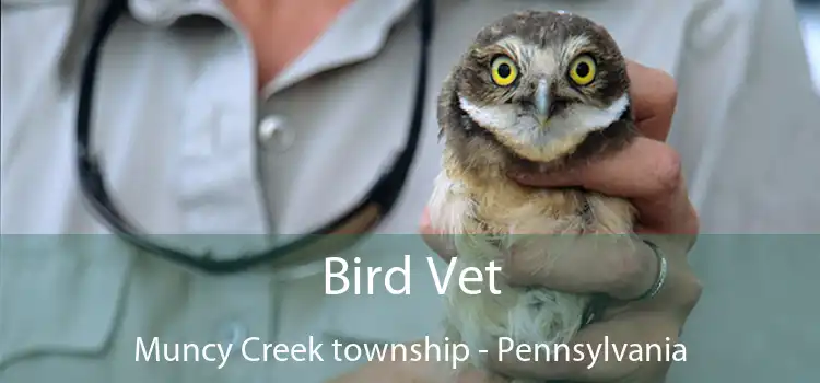 Bird Vet Muncy Creek township - Pennsylvania