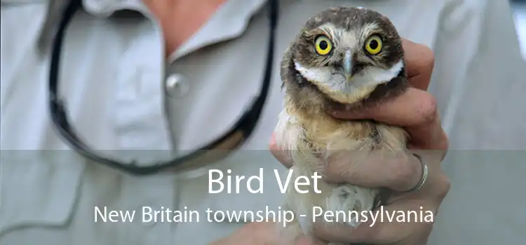 Bird Vet New Britain township - Pennsylvania