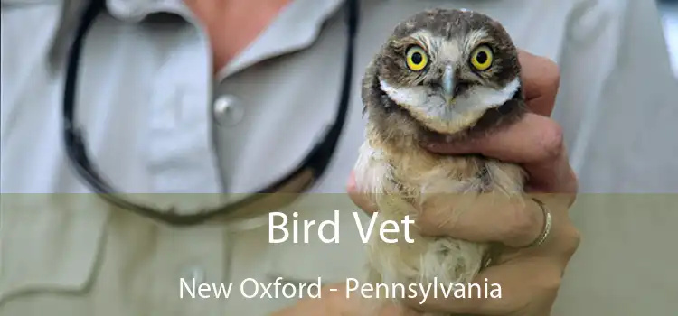 Bird Vet New Oxford - Pennsylvania