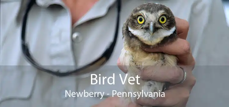 Bird Vet Newberry - Pennsylvania