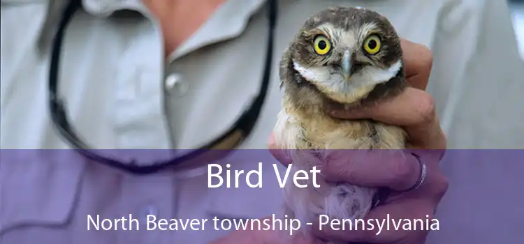 Bird Vet North Beaver township - Pennsylvania