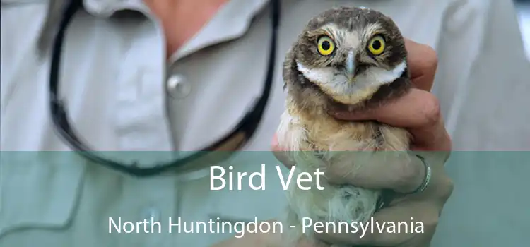Bird Vet North Huntingdon - Pennsylvania