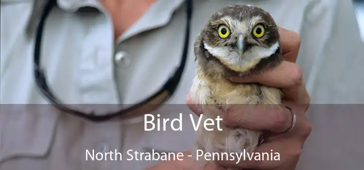 Bird Vet North Strabane - Pennsylvania