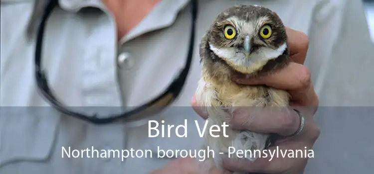 Bird Vet Northampton borough - Pennsylvania